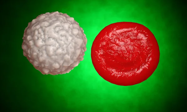 Лейкоциты, лейкоциты. 3D рендеринг — стоковое фото