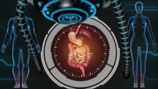 Digestive system, intestines on HUD futuristic background — Stock Video