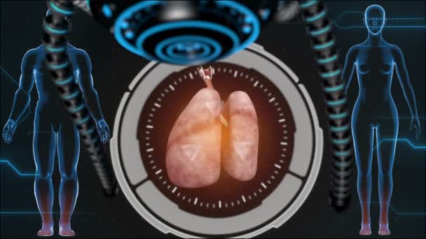 Human anatomy. Human lungs. HUD background. Medical concept anatomical future — Stock Video