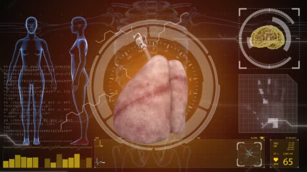 Anatomie humaine. Poumons humains. Fond HUD. Concept médical avenir anatomique — Video