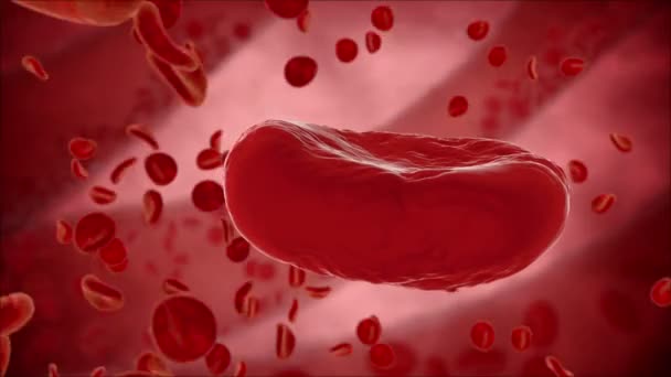 Cellule del sangue, eritrocite vista dall'interno dell'organismo. Concetto medico. Monitoraggio HUD — Video Stock