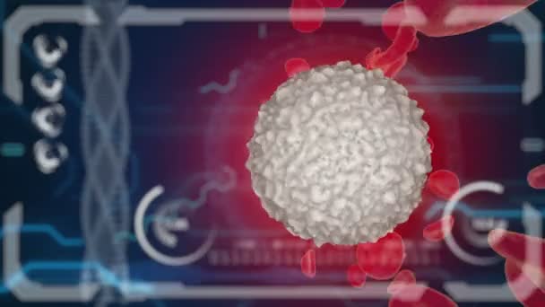 Hemácias brancas, eritrocite dentro da vista do organismo. Conceito médico. Monitor HUD — Vídeo de Stock