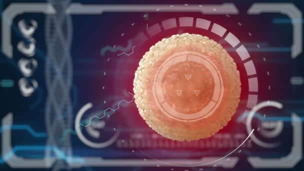 Spermatozoo, spermatozoo fertilizza l'ovulo cellulare. Concetto medico futuro anatomico. HUD sfondo futuristico . — Video Stock