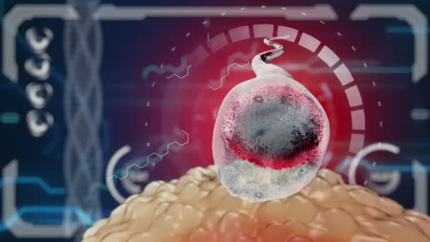Sperma, ondósejt termékenyít termékenyít a sejt tojást. Orvosi koncepció anatómiai jövő. HUD futurisztikus háttér. — Stock videók