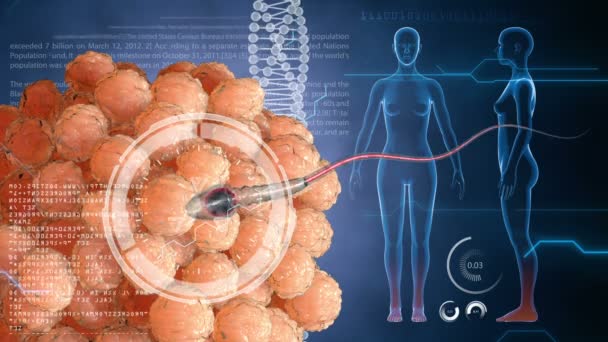 精子は、精子が細胞卵を受精させる。医療概念解剖学的未来。ハド未来的な背景. — ストック動画