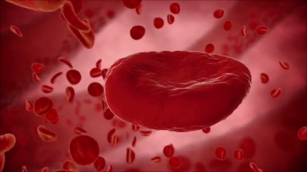 Virus, batteri, microbi uccidono le cellule del sangue, eritrocite. Concetto medico . — Video Stock