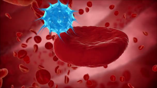 Virus, bacteria, microbe kills the blood cell, eritrocite. Medical concept. — Stock Video
