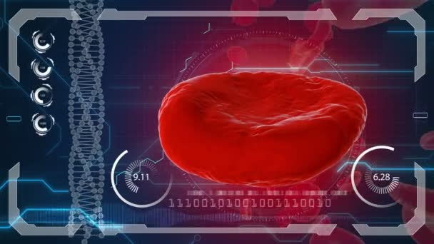 Virus, batteri, microbi uccidono le cellule del sangue, eritrocite. Concetto medico. HUD — Video Stock