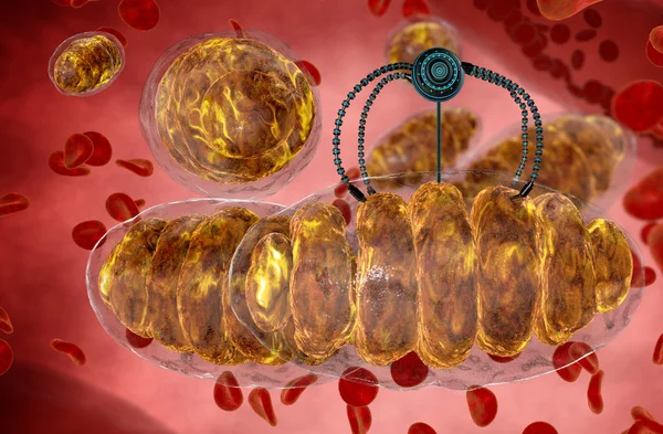 Nanorobot and mitochondrion. Medical concept anatomical future. Human anatomy, inside organism view — Stok fotoğraf