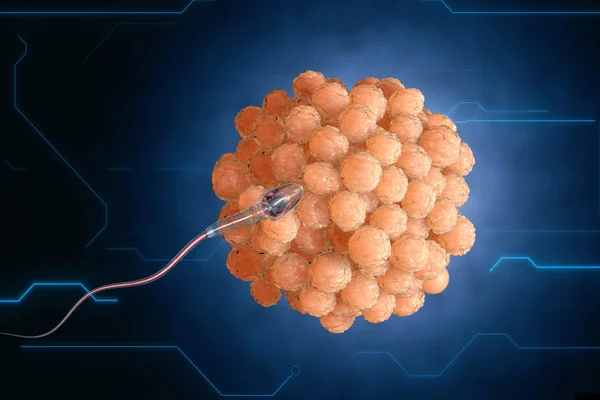 Nanorobot hücre yumurtayı döller. Tıbbi kavramı anatomik gelecek — Stok fotoğraf