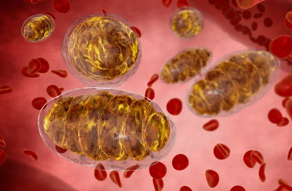 Mitochondrion, mitochondrial. Medical concept . Inside human organism — Stock Photo, Image