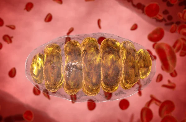 Mitochondrie, mitochondrie. Concept médical. Dans l'organisme humain — Photo