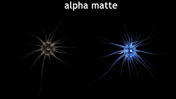 Impulsos cerebrais. Sistema neuronal. Anatomia humana. transferência de pulsos e geração de informações, Alpha matte — Vídeo de Stock