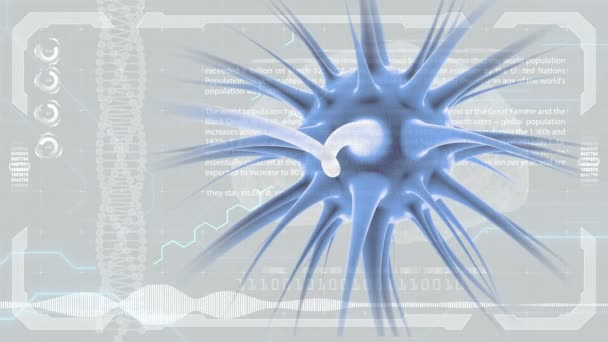 Hirnimpulse. Neuronensystem. menschliche Anatomie. Gehirnarbeit. Impulsübertragung und Informationsgenerierung. hud Hintergrund. — Stockvideo