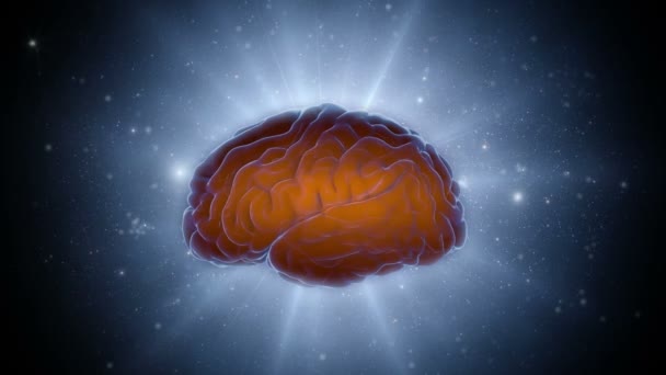Impulsy mozku. Neuron systém. Lidské anatomie. Mozkové činnosti. přenos impulsů a generování informace — Stock video
