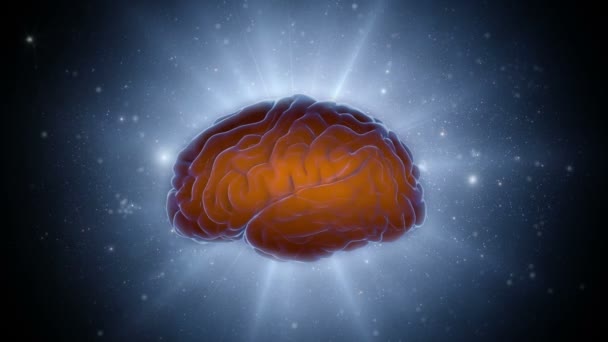 Impulsos cerebrales. Sistema neuronal. Anatomía humana. Trabajo cerebral. transferencia de pulsos y generación de información — Vídeos de Stock