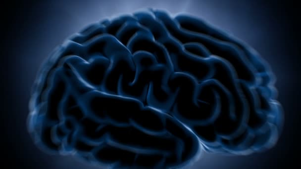 두뇌 자극입니다. 신경 시스템입니다. 인간의 해부학입니다. 뇌 작업입니다. 펄스를 전송 하 고 정보 생성 — 비디오