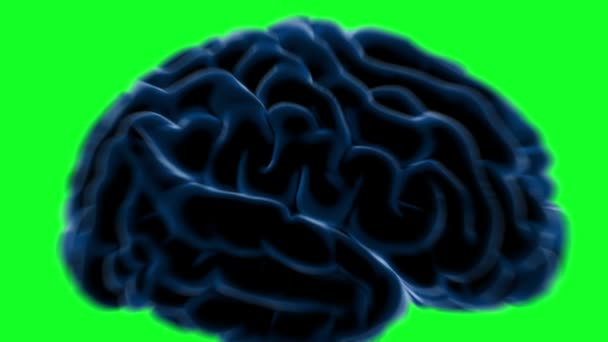 Мозговые импульсы. Нейронная система. Человеческая анатомия. передача импульсов и генерирование информации, зеленый экран — стоковое видео