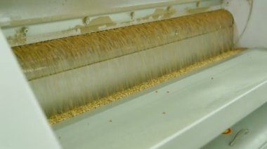 Buğday unu üretimi için elektrikli değirmen makineleri. Tahıl ekipmanı