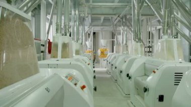 Buğday unu üretimi için elektrikli değirmen makineleri. Tahıl ekipmanı