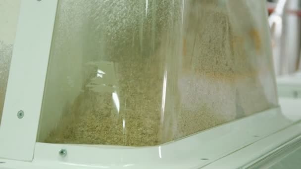 Búza liszt előállítására szolgáló elektromos malomipari gépek. Gabonafelszerelés — Stock videók