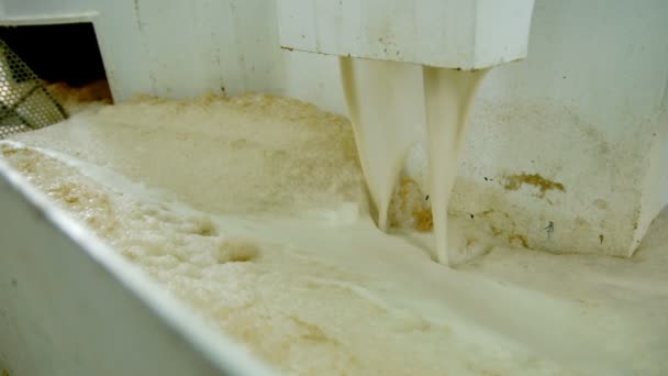Βρώμικο βιομηχανική αφρού. Παραγωγή αλεύρι σίτου. Αλευρόμυλος — Αρχείο Βίντεο