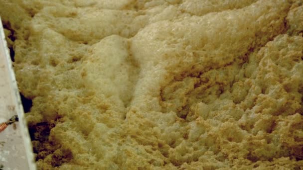 Dirty industrial foam. Production of wheat flour. Grain mill — Stock Video