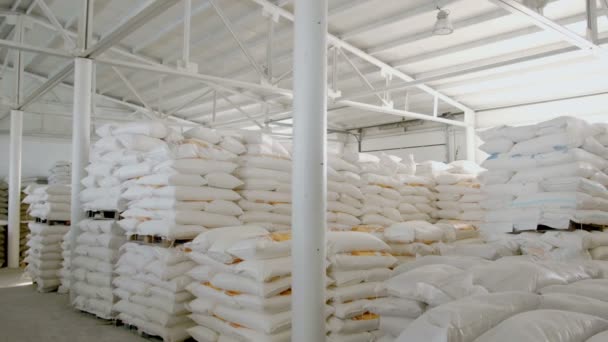 Väskor med mjöl i lager av mjöl fabriken. Mill warehouse — Stockvideo