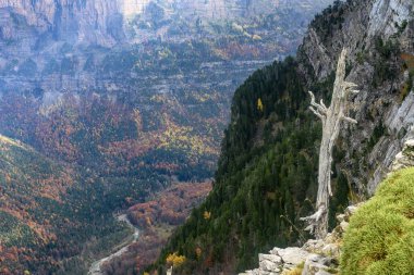 Sonbahar yaprakları ve engebeli uçurumlarıyla dramatik dağ manzarası.