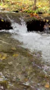 İspanya, Granada yakınlarında Sierra Nevada 'da kristal berraklığında bir dağ deresi