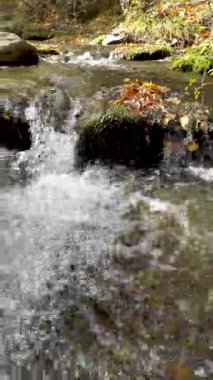 İspanya, Granada yakınlarında Sierra Nevada 'da kristal berraklığında bir dağ deresi
