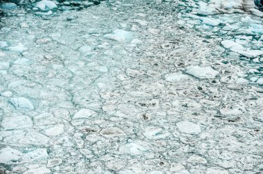 Perito Moreno Buzulu, Arjantin 'in Santa Cruz eyaletindeki Glaciares Ulusal Parkı' nda bulunan bir buzuldur. Arjantin Patagonya 'sındaki en önemli turistik merkezlerden biridir..