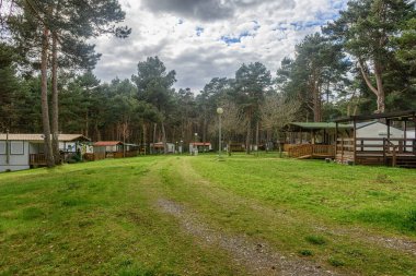 Açık gökyüzü olan yeşil bir kamp alanında çam ağaçlarıyla çevrili kulübeler ve mobil evler..