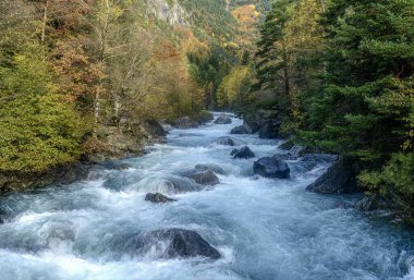 Ara Nehri Bujariego Vadisi 'nden Aragonese Pireneleri' ndeki Ordesa Ulusal Parkı 'na doğru ilerliyor..