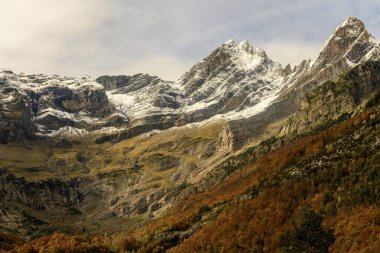 Valle de Pineta 'nın göz kamaştırıcı manzarası, engebeli kar tepeleri ve çağlayan şelaleler karşısında renkli sonbahar yapraklarını sergiliyor..