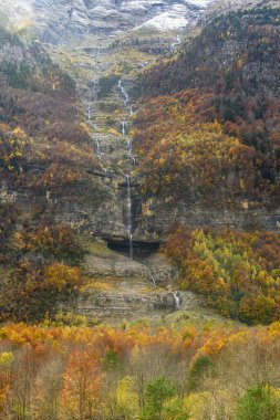 Valle de Pineta 'nın göz kamaştırıcı manzarası, engebeli kar tepeleri ve çağlayan şelaleler karşısında renkli sonbahar yapraklarını sergiliyor..