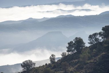 Çam kaplı yamaçları ve uzak katmanlı zirveleri olan sisli dağ manzarası