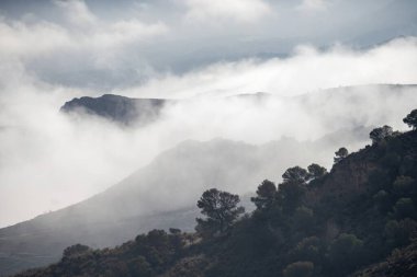 Dağları ve yamaçları saran yoğun sis sessiz ve dramatik bir manzarayla kaplıyor.