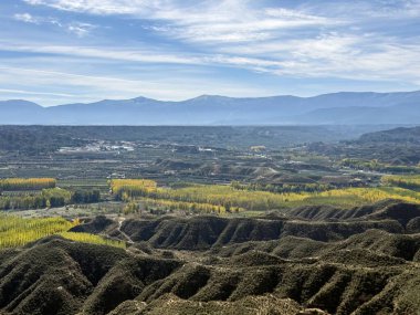 Granada 'daki kavak tarlaları ve tarım arazilerinin arasına yerleşmiş Fonelas köyünün manzarası