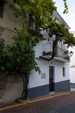 La Iruela 'da duvarda ve balkonun üstünde büyüyen, Endülüs' ün kırsal mimarisini temsil eden, sık sarmaşıklı tipik bir ev..