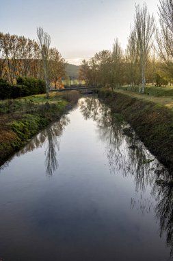 Palencia 'daki Alar del Rey yakınlarındaki Castilla Kanalı' nın sakin yüzeyinde ağaçların yansıması.