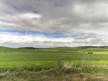 Tierra de Campos kırsalında ekili arazi ve uzak tepeler