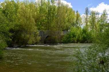 Pisuerga Nehri 'ni geçen antik taş köprü yeşil orman ve doğa ile çevrili.