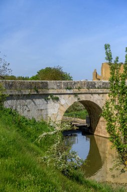 Yarı dairesel kemerli taş köprü Castilla Kanalı 'nı doğal yeşil bir manzarayla geçiyor.