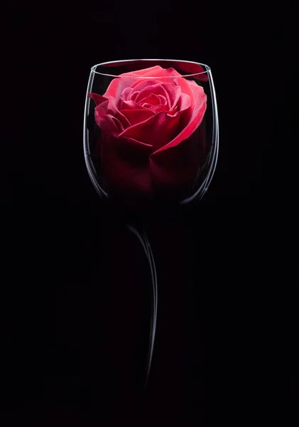 Rosa roja en copa de vino — Foto de Stock