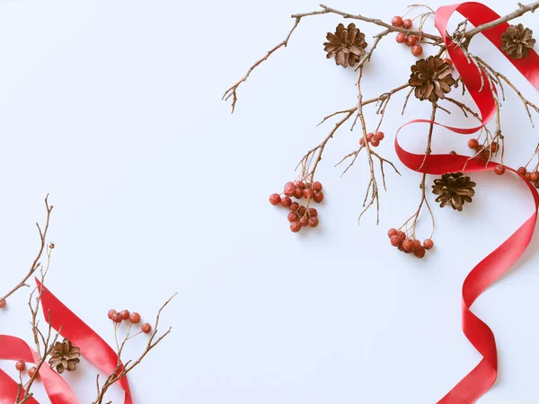 Fondo blanco de invierno con bayas rojas y conos de pino — Foto de Stock