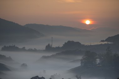sunraise dağın ve çay plantasyon