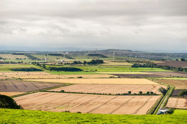 Agricultura e industria en el paisaje — Foto de Stock