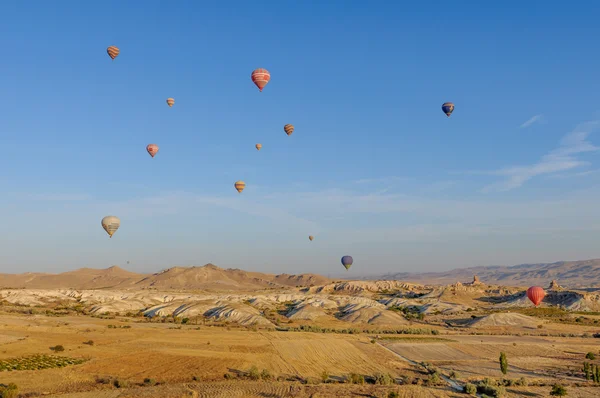 Hete lucht ballonnen in de vroege ochtend — Stockfoto
