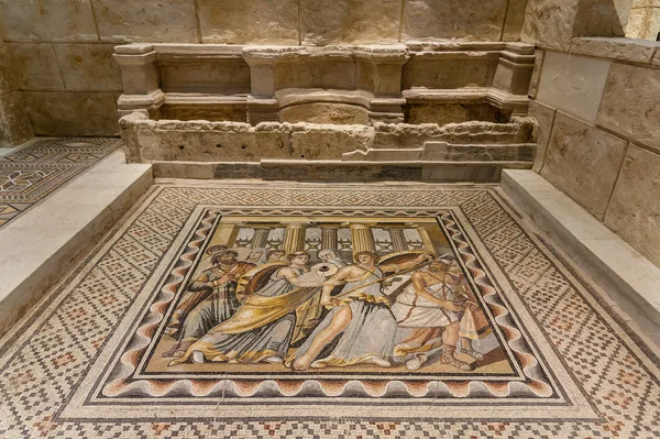 Museu mosaico zeugma — Fotografia de Stock